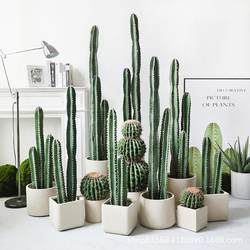 Nordic simulated immortal pillars large floor-standing tropical desert green plant measurement ruler fake cactus potted window decoration