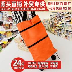 New Model of Grocery Shopping Cart with Wheels, Portable Large-Capacity Tote Bag for Women, Home-Use Delivery Cart, Shopping Bag, Push Cart