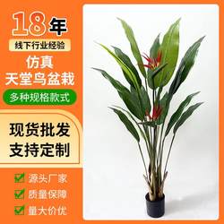 Simulated large plant Strelitz orchid travel canna artificial fake flower green plant interior decoration ornament simulated bird of paradise