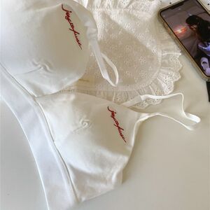 
French embroidery girl niche bra push up v sponge small fresh adjustment underwear bra girl triangle cup