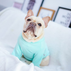 Dog base clothes pet clothing Pug Teddy French Dou home solid color base shirt pet clothes