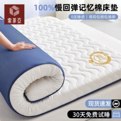 Sofia Latex Memory Foam Mattress Home Bed Sheet Pad Bedroom Student Dormitory Single and Double Tatami Mattress Pad