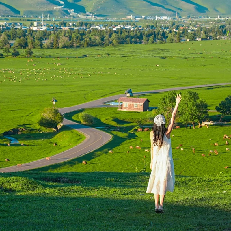 汽车出发银川3天2晚自由行