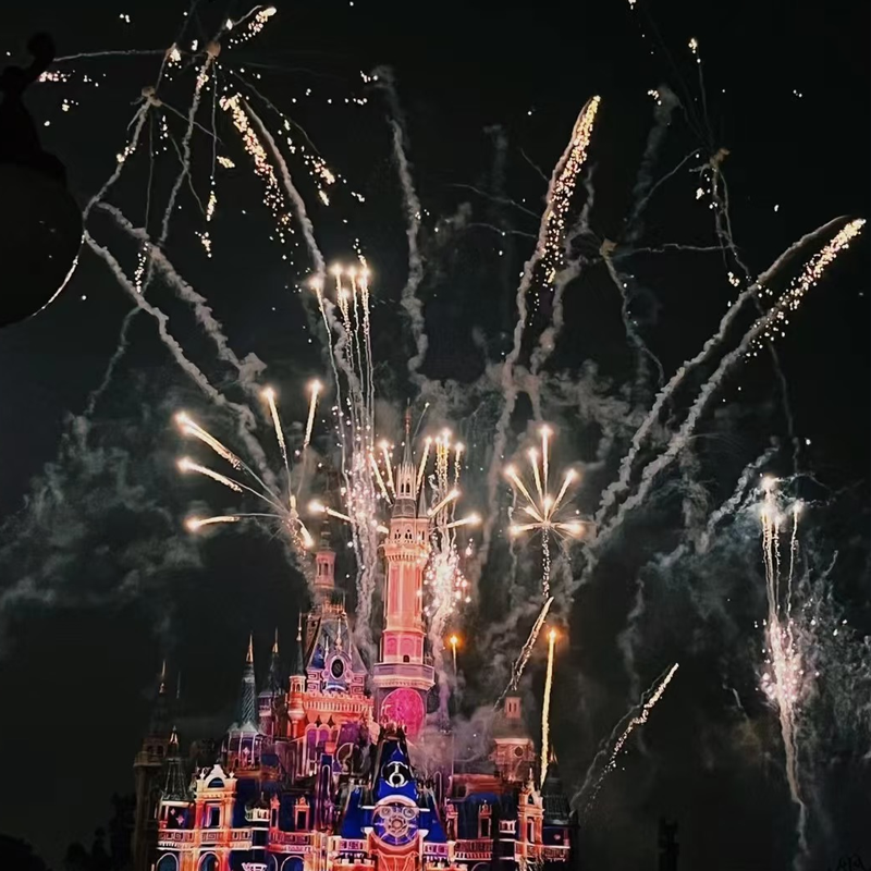 高铁出发上海苏州5天4晚自由行