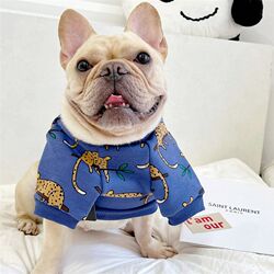 Little dinosaur terry sweatshirt pet fat dog clothes autumn and winter two-legged French Bulldog Shiba Inu Corgi casual clothing