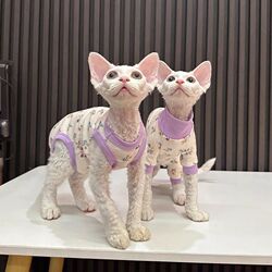 Pet summer floral four-legged vest prevents cold hairless cat clothing Sphinx Devin kitten