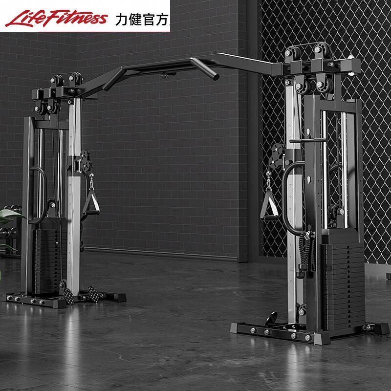 LifeFitness Big Flying Bird портальный фитнес-дом — универсальное оборудование, коммерческое одностороннее маленькое летающее птице