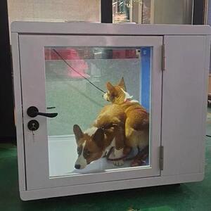 
Pet room, mobile soundproof room, telephone booth, piano room, singing room, cat cage, home indoor nest, small apartment dog cage