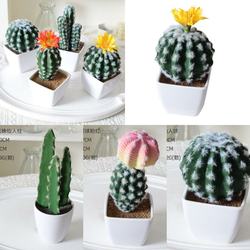 Simulated Mini Succulent Cactus Indoor Cactus