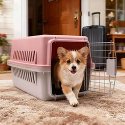 Pet Travel Crate for Cats, Large Size, Detachable Carrier for Dogs, Suitable for Small Dogs and Cats
