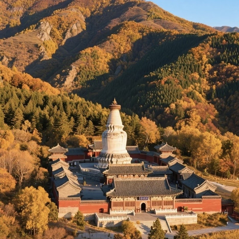 【含机票】山西旅游太原忻州五台山菩萨顶龙泉广化寺4天3晚跟团游
