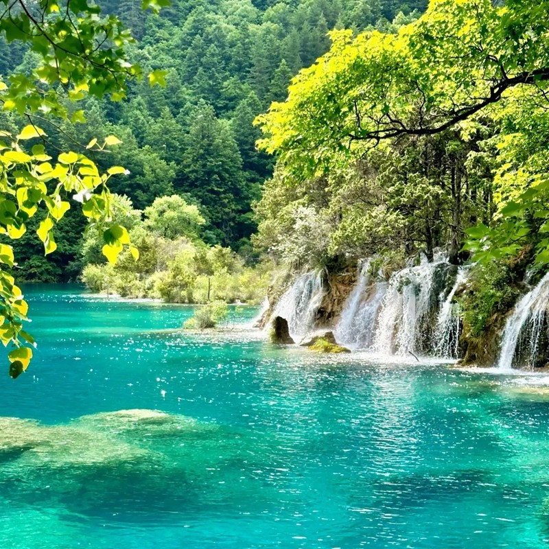 15人纯玩含机票 四川旅游成都九寨沟三星堆熊猫基地6天5晚跟团游