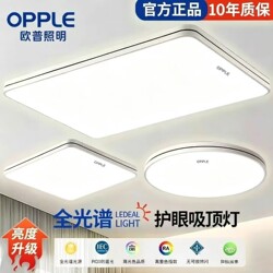 Op Lighting Led Eye-Protection Ceiling Light Modern Minimalist Living Room Light Square Round New Style Bedroom Dining Room Lighting Fixtures
