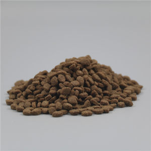 Satrons of 1*0.5kg installation Jue and cat food chicken salmon add car pre -car youthful cat main food beauty 500g free shipping
