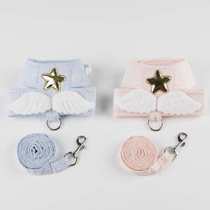 Kitten angel wings cat leash vest type traction belt dog out to traction prevent breaking away pet supplies
