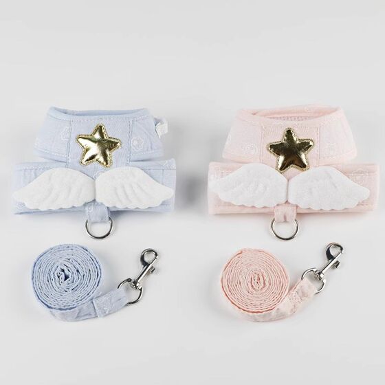 Kitten angel wings cat leash vest type traction belt dog out to traction prevent breaking away pet supplies
