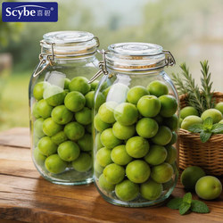 Xibi Special Glass Empty Bottles for Brewing Wine 5kg Food-Grade Sealed Jars for Packing Green Plum and White Gourd Wine Containers for Sub-Bottling