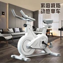 Dynamic Bicycle, Smart Weight Loss Fitness Equipment, Silent Gym Home Exercise Bike, Indoor Pedal Bike
