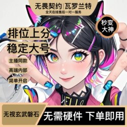 Valorant Co-Streamer's Same Type of Auxiliary Software for Pc, Stable for Valorant Main Accounts on Chinese Servers, with a Premium Card