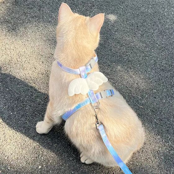Cat traction rope Out of dedicated adjustable chest and back cat rope cute wings small dog pet dog supplies
