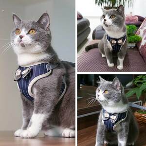 
Cat rope, cat and dog chain, Teddy leash, anti-breakaway cat leash, dog leash, puppy chain, pet supplies summer