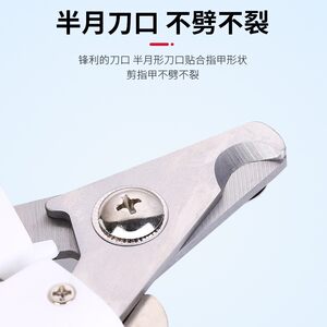 Pet nail -cut dogs and cat stainless steel nail knife beauty cleaning products nail tie pet nail supplies
