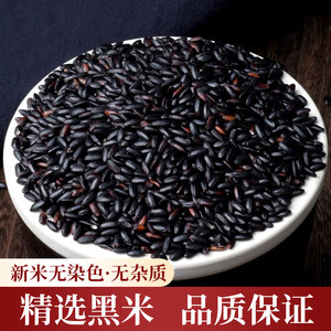 
Seasonal fresh black rice, whole grains, porridge for breakfast, black rice porridge with full grains and impurity-free black fragrant rice