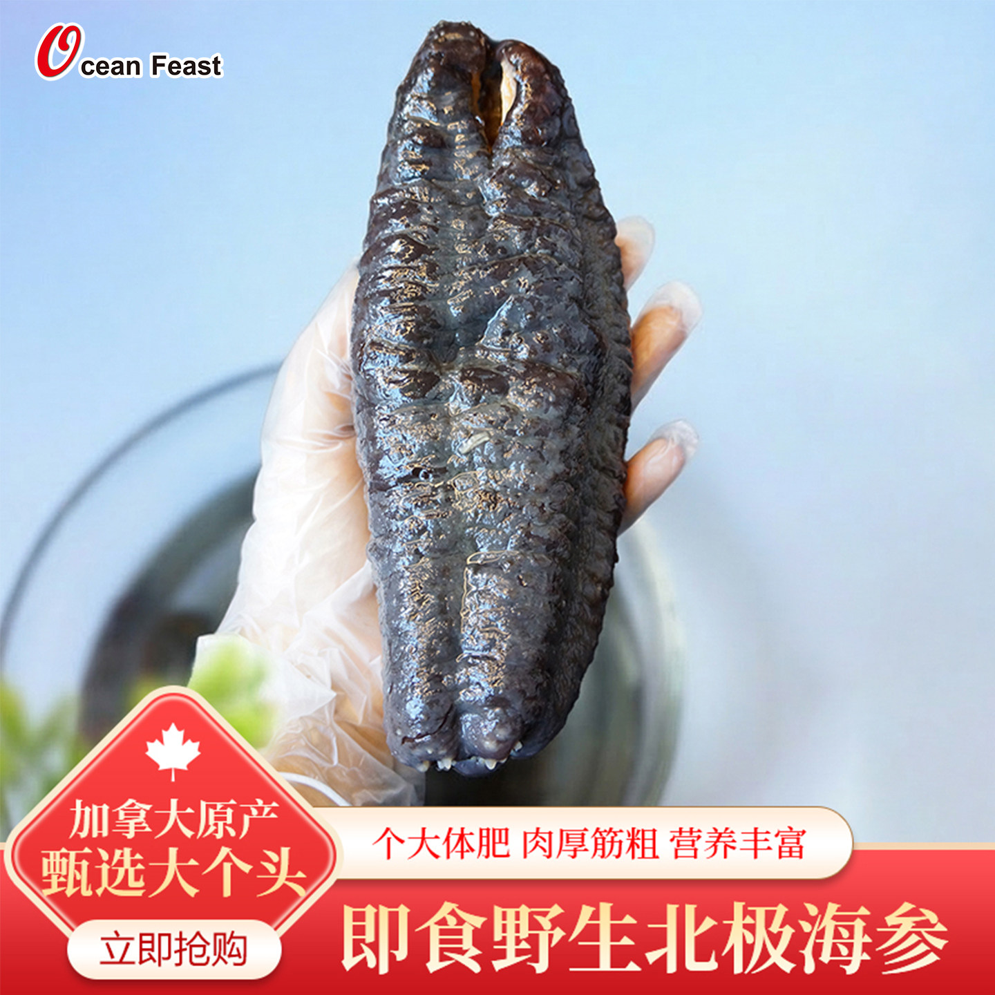 OceanFeast канадский импортный морской огурец, дикий, готовый к употреблению морской огурец, арктический огурец, аутентичный официальный корпоративный магазин