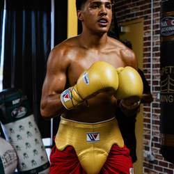 Winning Boxing Groin Protection