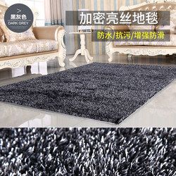 Encrypted Korean Bright Silk Autumn and Winter Plush Carpet Living Room Coffee Table Rug Bedroom Bedside Rug Clothing Store Window Tile Store