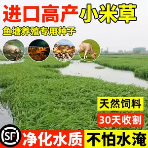 水牧草- Top 1000件水牧草- 2024年3月更新- Taobao