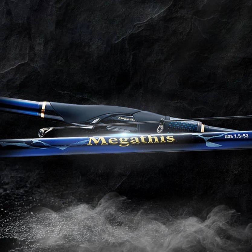 ダイワ(DAIWA) 磯竿 メガディス Megathis AGS・N 2-53・N ブラック