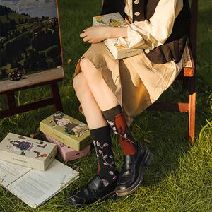 
25 new spring and summer socks, same style for men and women, trendy socks, artistic style, personalized original women's socks, gift box, retro mid-tube socks