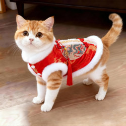 Cat New Year Festive Tang Suit Winter Warm Embroidered Devon Ragdoll British Shorthair Gold Tabby Anti-Shedding New Year Clothes