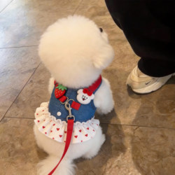 Dog Leash Clothing for Spring and Autumn Outings, Denim Mini Skirt, Harness for Teddy and Bichon, Summer Dog Walking Leash