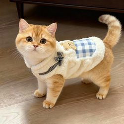 Cat Clothes for Autumn and Winter, Pocket Bear Cotton Coat, Cute, Warm, Anti-Shedding, Golden Gradient, Ragdoll, British Shorthair, Bichon Sweatshirt