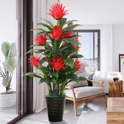 Fake flowers simulated flowers home decoration simulated trees living room potted plants artificial plants potted plants Hongyun bonsai green plants