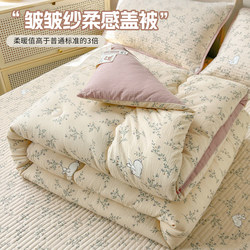 Class a Soybean Fiber Quilt Core, Winter Quilt, Spring and Autumn Quilt, Children's Single Quilt, Air-Conditioned Summer Cooling Quilt, Suitable for All Seasons
