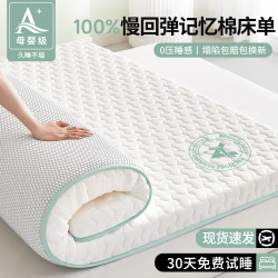 Latex Memory Foam Bed Sheet Single Piece Mattress Home Bed Sheet Pad Bedroom Student Dormitory Single Tatami Mattress Pad