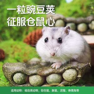 
Teewy pea pod hamster snacks teething sticks golden bear nutrition food landscaping supplies teething ball toys