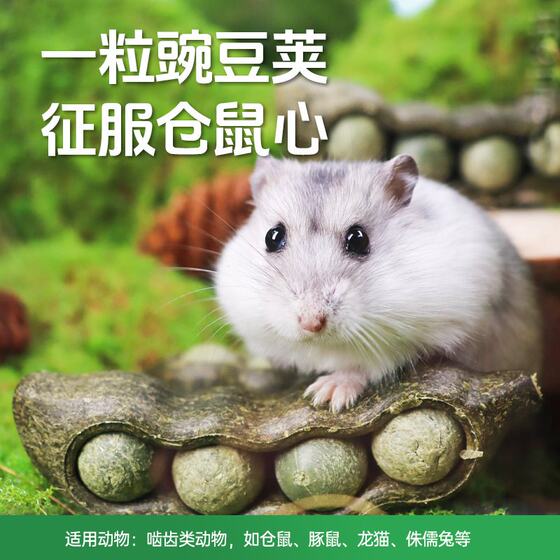 
Teewy pea pod hamster snacks teething sticks golden bear nutrition food landscaping supplies teething ball toys