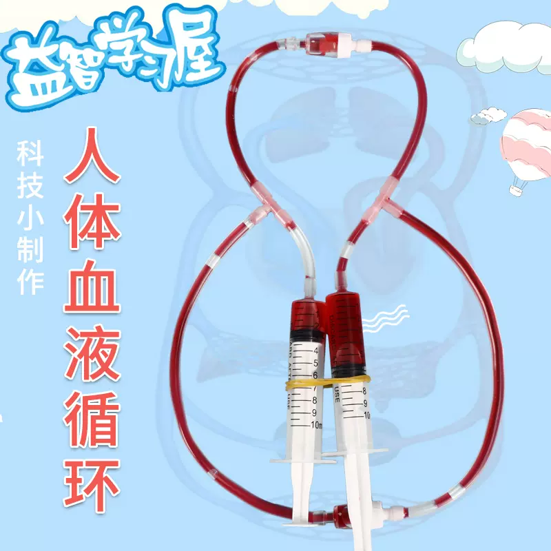 科技小製作學生物毛細血管人體血液循環模型科學實驗器材手工DIY