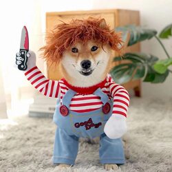 Pet Dog with a Knife, Funny Transformation Costume, Teddy, Bichon, Corgi, Cat, Internet-Famous Pet Clothes, Deadly Doll