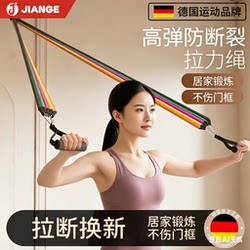 Resistance Band for Home Use, Shoulder and Back Workout, Fitness Stretching Elastic Band, Women's Exercise Tool, Door-Mounted High Pull-Down Trainer