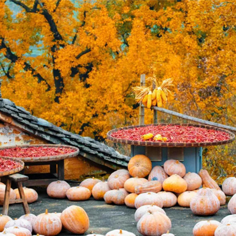 游侠客江西跟团游徽风瓷韵4日景德镇-婺源篁岭-婺女洲