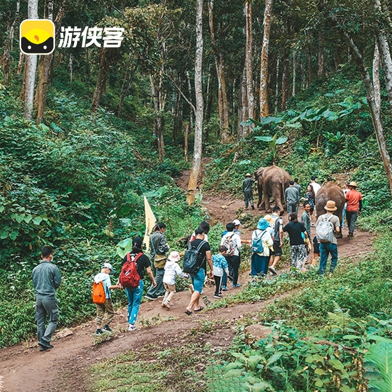 游侠客西双版纳亲子5日跟团旅游野象谷牧象傣族园泼水节雨林探险