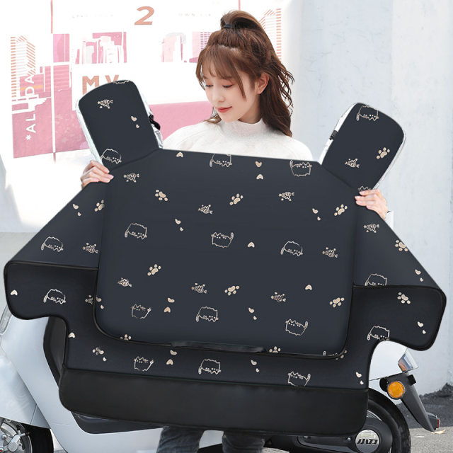 2025 new motorcycle windshield is thickened with double-sided waterproof small electric car in winter, all-season universal front windshield cover