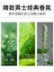Roman Nuo Perfume shampoo shower gel set men's dedicated long -lasting fragrance bottle family outfit shower liquid milk

