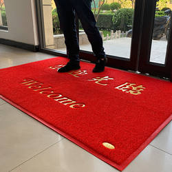 Safe Entry and Exit Floor Mat, Welcome Mat, Outdoor Door Non-Slip Carpet, Household Wire Loop Door Mat