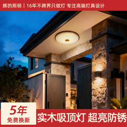 New Ceiling Light for Villa Entrance, Self-Built House Courtyard Eaves, Entrance Door Light, Outdoor Moisture-Proof and Insect-Proof Balcony Light